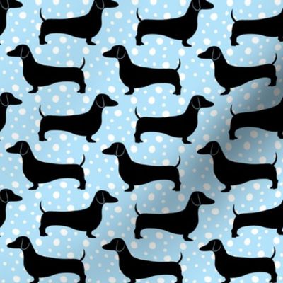 Dotted Doxie (Baby Blue)