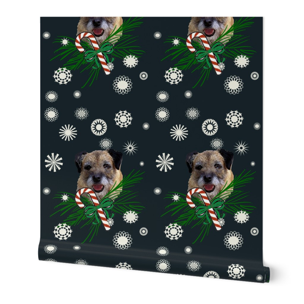 border_terrier_Christmas_with snowflakes