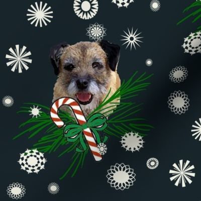 border_terrier_Christmas_with snowflakes