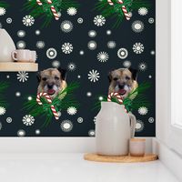 border_terrier_Christmas_with snowflakes