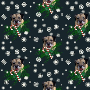 border_terrier_Christmas_with snowflakes