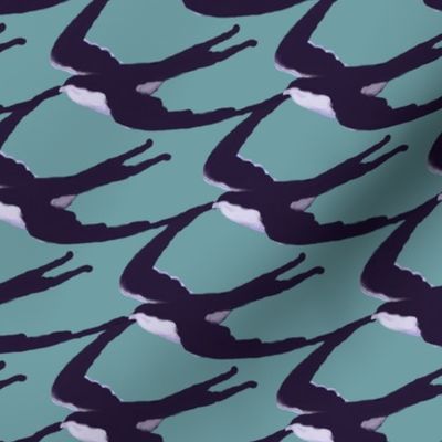 purple martins on teal