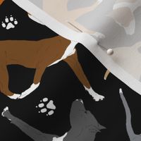 Trotting American Staffordshire Terriers - black