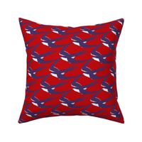 red, white, and blue swallows