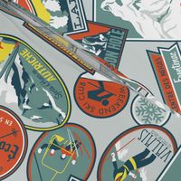 Retro Ski Badges