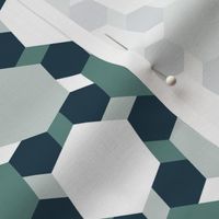 02668539 : hexagon2to1 : spoonflower0226