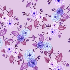 Rose Lilac, Purple