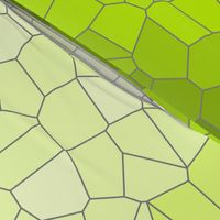 Gradient Voronoi Green