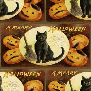 Halloween Vintage Postcard Black Cat