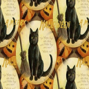 Halloween Vintage Postcard Black Cat