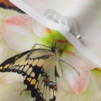 Amaryllis and Butterflies