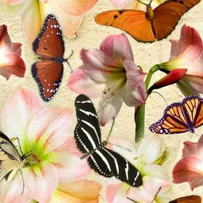 Amaryllis and Butterflies