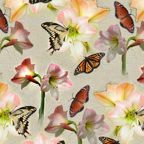 Amaryllis and Butterflies 2