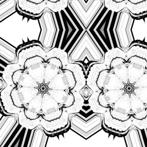 black and white flower-ed-ed-ed