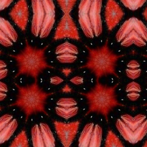 Black red abstract 