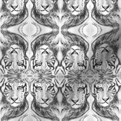 TIGER BLACK AND WHITE