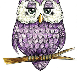 Purple Owl