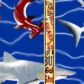 Shark Aquarium 4.