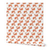 Celosia Orange Two Way Chevron Whale