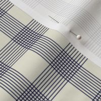 Regency Cotton Checker