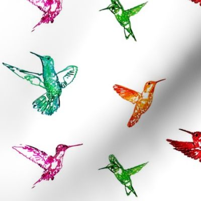 Hummingbirds Rainbow