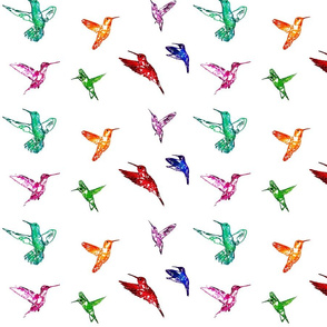 Hummingbirds Rainbow