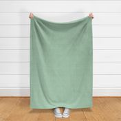 Linen Soft Eucalyptus Green