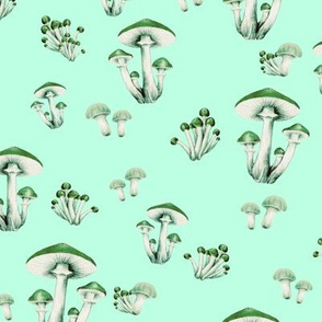 Forest Floor in Mint
