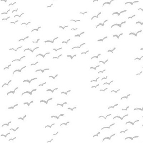Seagulls Gray