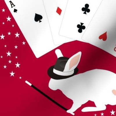 Rabbit in Hat Does Card Tricks