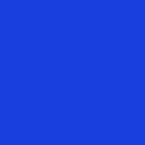 solid cobalt blue (193FDE)