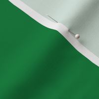 solid dark spearmint green (00813C)