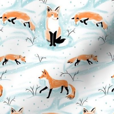 Winter Foxes