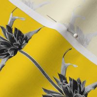 Hummingbird Sage-Monochrome on Yellow