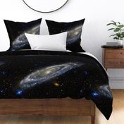 Andromeda Galaxy Yard (42x36 in)