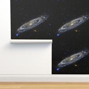 Andromeda Galaxy Yard (42x36 in)