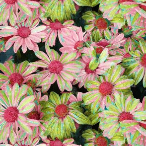 Pink & Green Mums