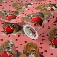 basset_hounds__and_hearts