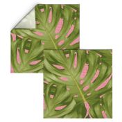 Monstera Leaf Pink and Green