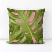 Monstera Leaf Pink and Green