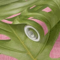 Monstera Leaf Pink and Green