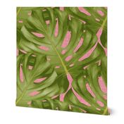 Monstera Leaf Pink and Green