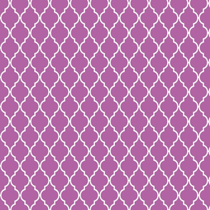 True Radiant Quatrefoil Trellis