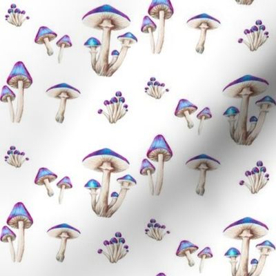 Forest Floor Toadstools Electric Blue