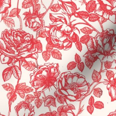 Toile de Jouy roses_red