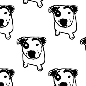 Pit Bull T-Bone Graphic 