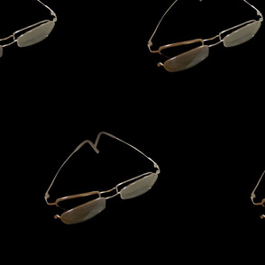 sunglass clip