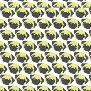 pug_pattern