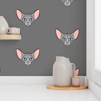 Grey Sphynx Cat Scattered