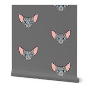 Grey Sphynx Cat Scattered